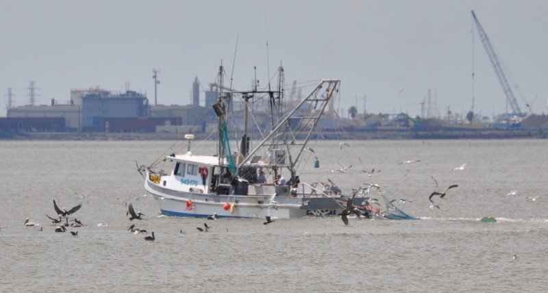 DSC_0161b.JPG