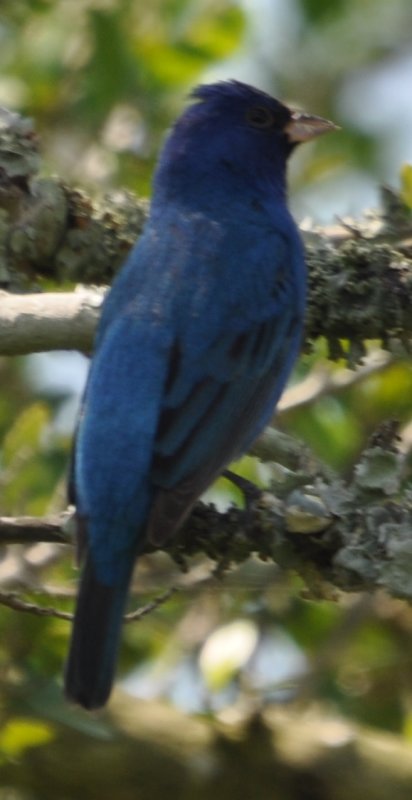 DSC_0361b.JPG