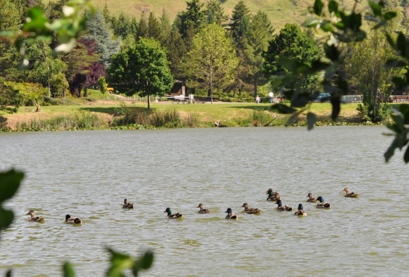 DSC_0744b.JPG