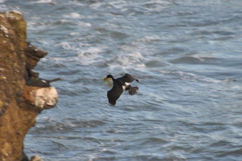 DSC_0667b.JPG