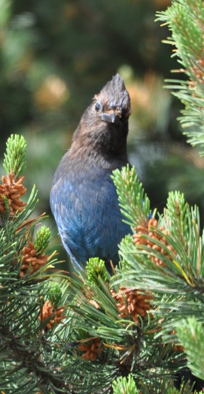 DSC_0759b.JPG