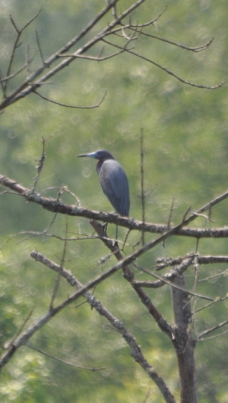 DSC_0251b.JPG