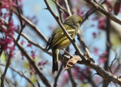 DSC_0563b.JPG