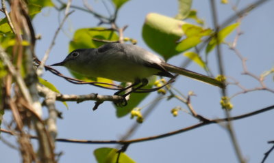DSC_0396b.JPG