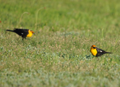 DSC_0754b.JPG