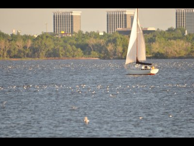 DSC_0774b.JPG
