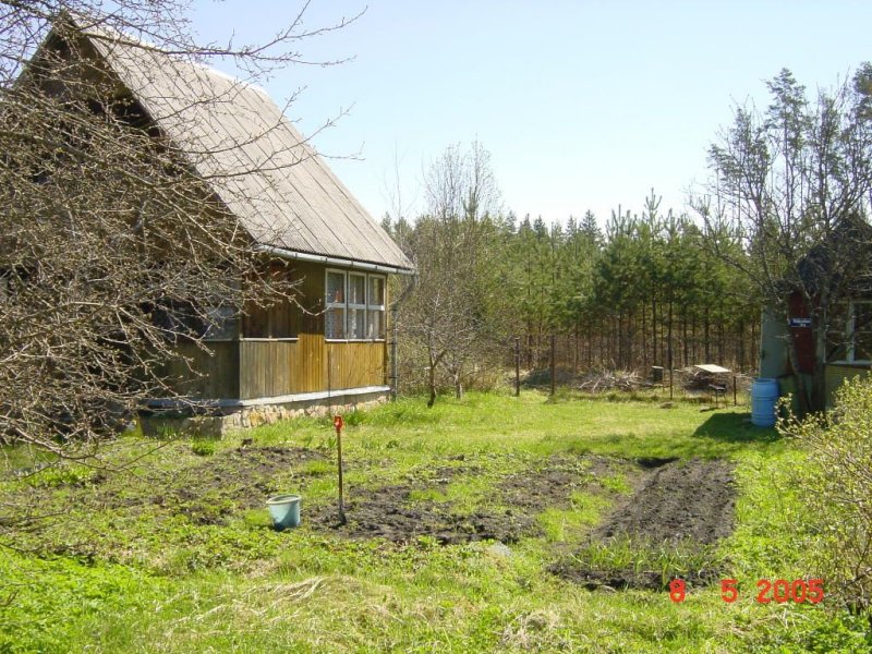 Assorti-2005 (1)