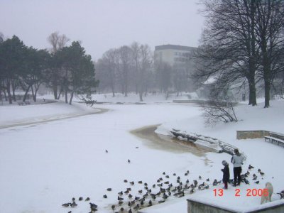 217.jpg