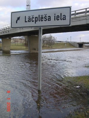 82.jpg