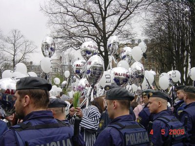 91.jpg