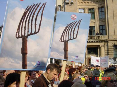 98.jpg