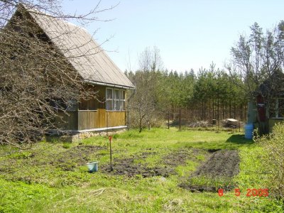 129.jpg