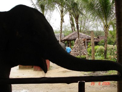 Tailand (Krabi)