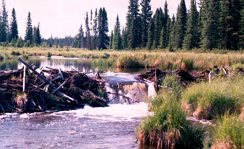 Burnt Stick Creek