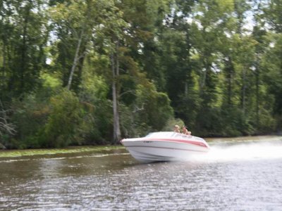 2012 Magpie 150 (72).JPG