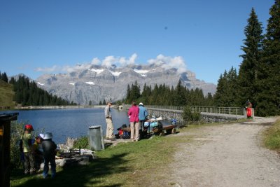 IMG_7737 garicht - Kopie.jpg
