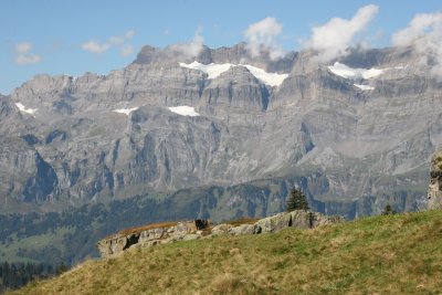 IMG_7746.jpg