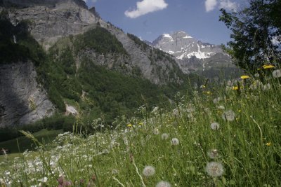 g4/06/1053206/3/144881708.w3asSgRa.jpg