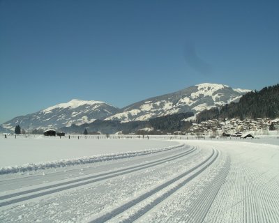 IMGP4505.jpg