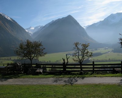 IMG_1408.jpg