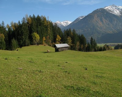 IMG_1423.jpg
