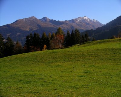 IMGP9159.jpg