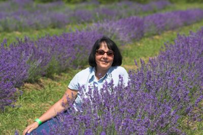 lavender_lavande