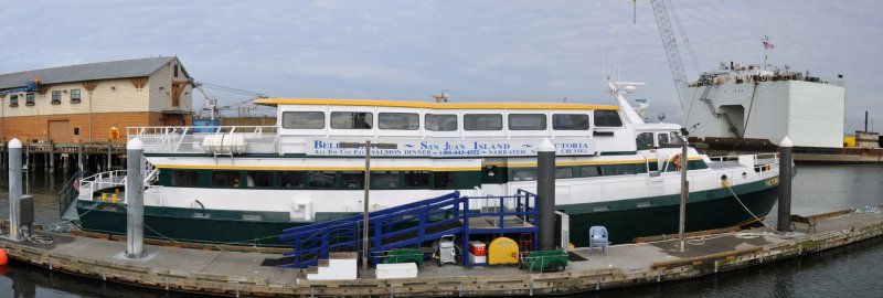 Victoria Star to the San Juan Islands, whale watching & Friday Harbor