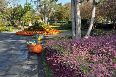 The Dallas Arboretum and Botanical Gardens