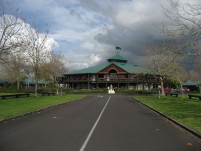 NZ Bloodstock Co - horse racing trading co.