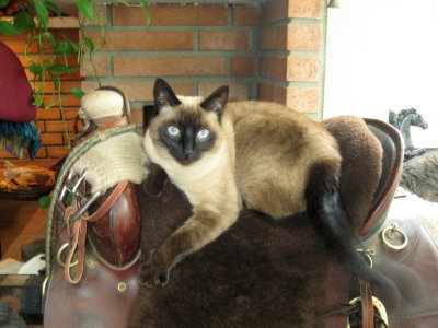 Ready to ride