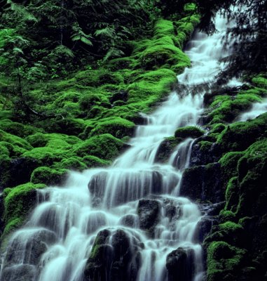 Proxy Falls (Oregon)