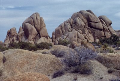 Jumbo Rocks (Joshua Tree)
