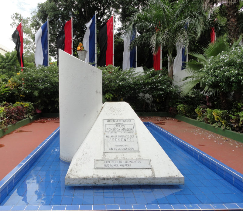 Carlos Fonseca Amador