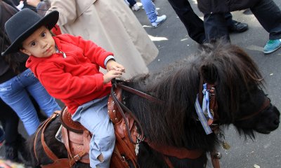 Cowboy at  Feria de Mataderos