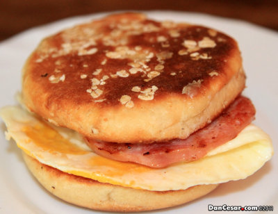 Breakfast Muffin