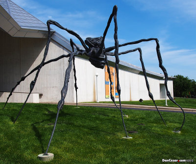 Spider at the Kemper Museum of Contemporary Art