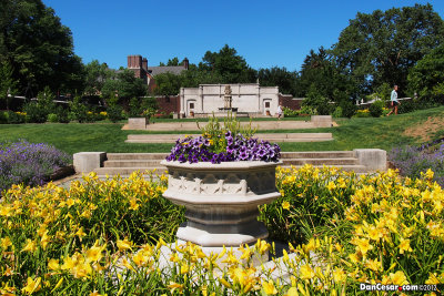 Chatham University Arboretum