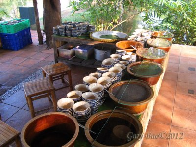 IMG_4227.jpg