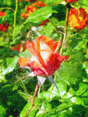 RoseGarden794b
