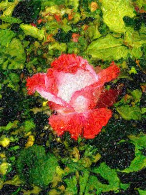 RoseGarden836b