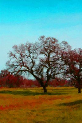 Sonoma2330