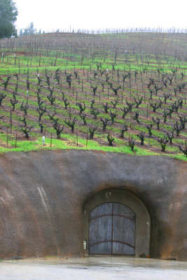 Sonoma2343
