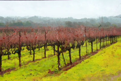 Sonoma2363