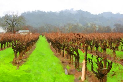 Sonoma2373