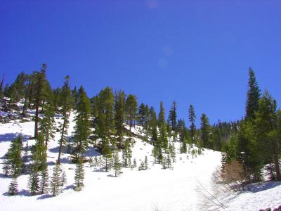 DSC00069b.jpg