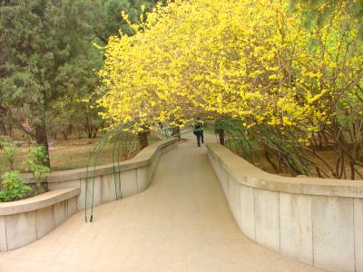 g4/06/33506/3/60669923.MingTomb0029B.jpg