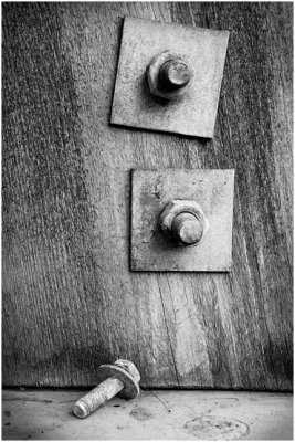 11114623_acr_bw.jpg