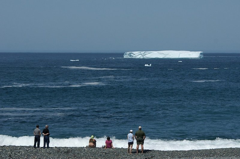 _DSC6012 - Iceberg Watching