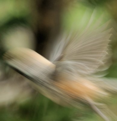 g4/06/371906/3/134436783.XAnSILsh.jpg